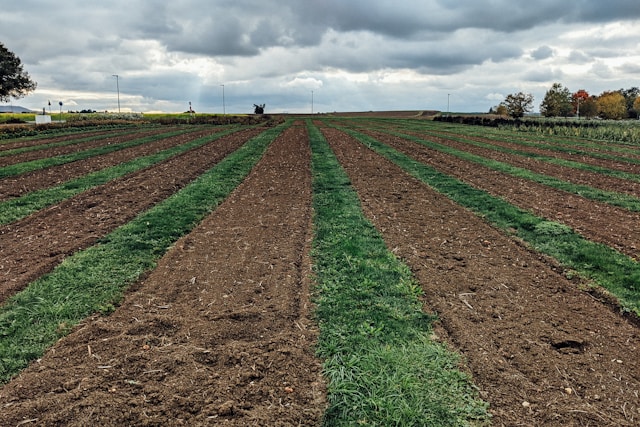 農地に太陽光発電を設置するには「農地転用」が必須