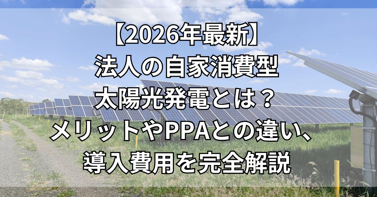 【2026年最新】法人の自家消費型太陽光発電とは？メリットやPPAとの違い、導入費用を完全解説